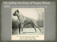 /album/%cf%80%ce%b7%ce%b3%ce%ae-%3a-boxernews-forumcommunity-net/a1908449-731607396894573-190172745239595207-n-jpg1/