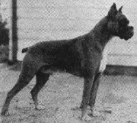 /album/%cf%80%ce%b7%ce%b3%ce%ae-%3a-boxernews-forumcommunity-net/a1911910-628283610552706-1197520630-n-jpg1/