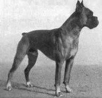 /album/%cf%80%ce%b7%ce%b3%ce%ae-%3a-boxernews-forumcommunity-net/a1970501-628284330552634-413999253-n-jpg1/