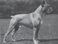 /album/%cf%80%ce%b7%ce%b3%ce%ae-%3a-boxernews-forumcommunity-net/a1979511-628283380552729-1313758867-n-jpg1/