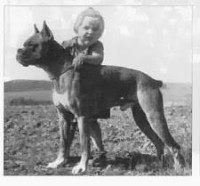 /album/%cf%80%ce%b7%ce%b3%ce%ae-%3a-boxernews-forumcommunity-net/a10003257-628284427219291-2021284584-n-jpg1/