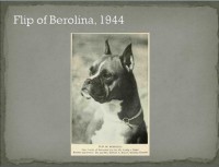 /album/%cf%80%ce%b7%ce%b3%ce%ae-%3a-boxernews-forumcommunity-net/a10377596-731607083561271-5602947254482898599-n-jpg1/