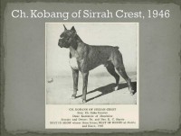 /album/%cf%80%ce%b7%ce%b3%ce%ae-%3a-boxernews-forumcommunity-net/a10488001-731607160227930-2666736606942292208-n-jpg1/