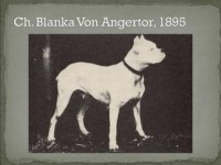 /album/%cf%80%ce%b7%ce%b3%ce%ae-%3a-boxernews-forumcommunity-net/a10557408-731607603561219-8533519679330814115-n-jpg1/