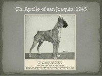 /album/%cf%80%ce%b7%ce%b3%ce%ae-%3a-boxernews-forumcommunity-net/a10645308-731607130227933-7833953531683836456-n-jpg1/