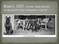 /album/%cf%80%ce%b7%ce%b3%ce%ae-%3a-boxernews-forumcommunity-net/a10685573-731607576894555-8198698071150476788-n-jpg1/