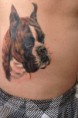 /album/%ce%bc%cf%80%cf%8c%ce%be%ce%b5%cf%81-%cf%83%ce%b5-tattoo-/a1925344-635941883127792-860456252-n-jpg/